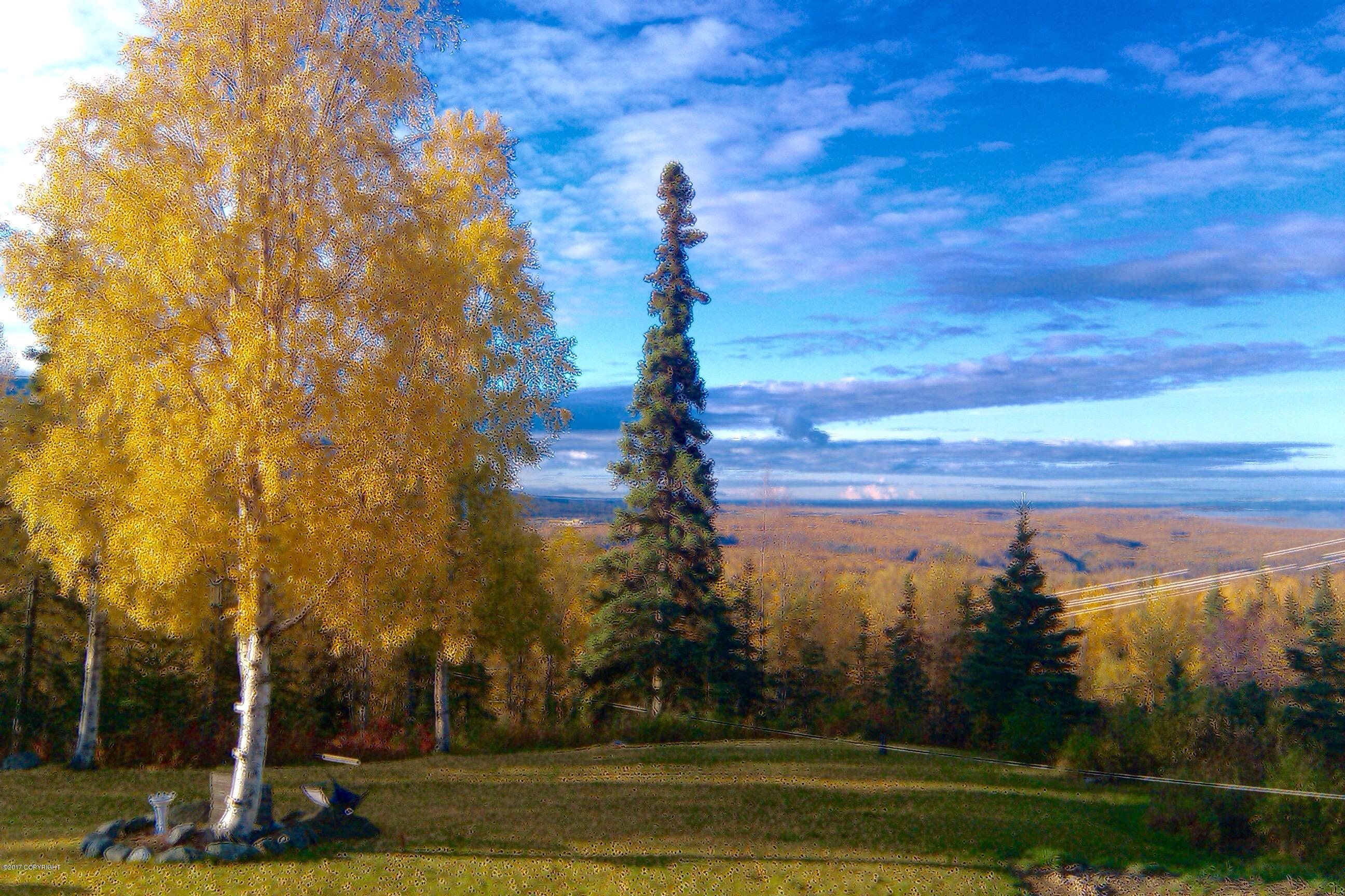 18524 Outlook Circle Wasilla Home Listings - Lee Realty LLC. Real Estate